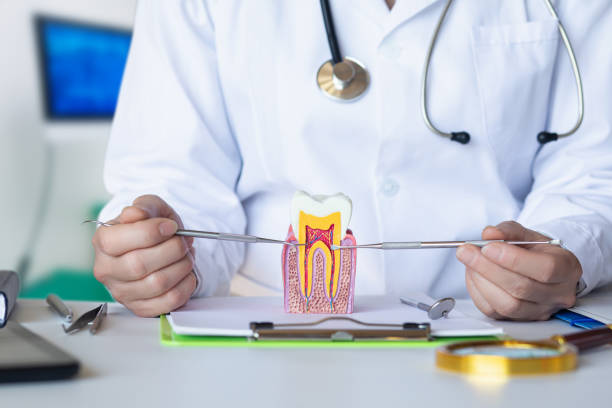Best Cracked Tooth Emergency Dentist  in Inverness, FL
